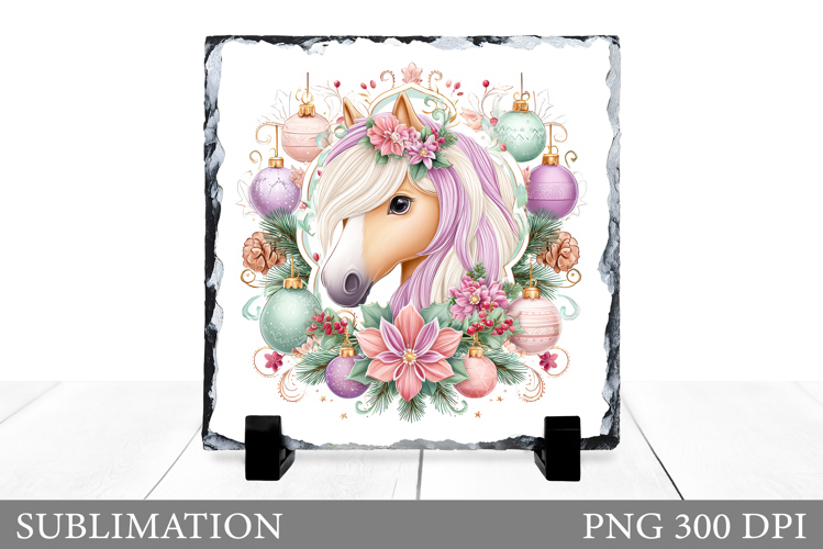 Cute Horse Pictures Image 4