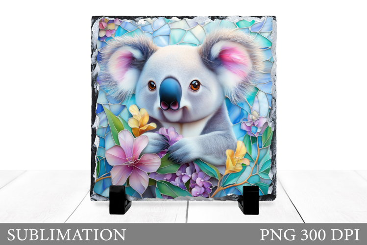 Cute Koala Pictures Image 3
