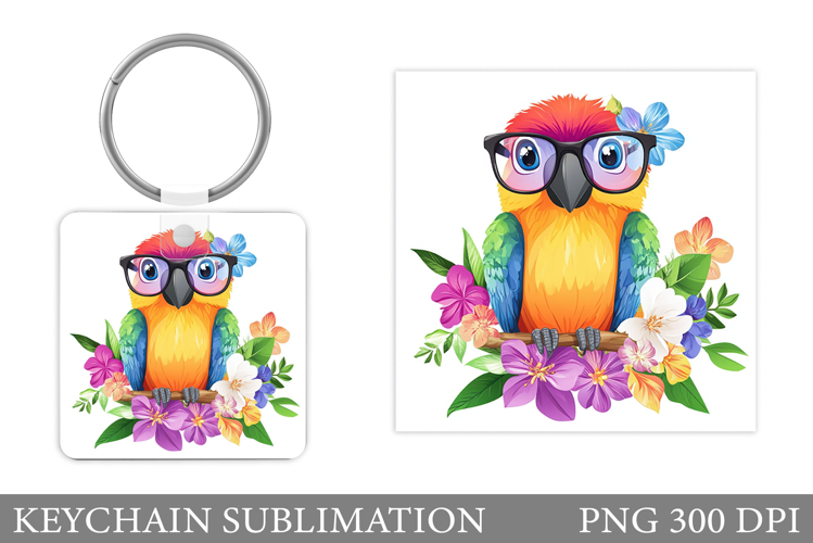 Parrot Clipart Image 20