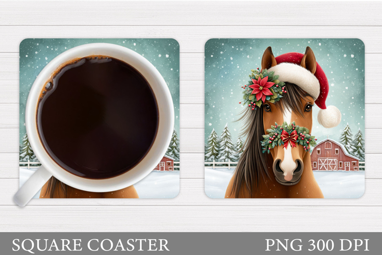 Cute Horse Pictures Image 3