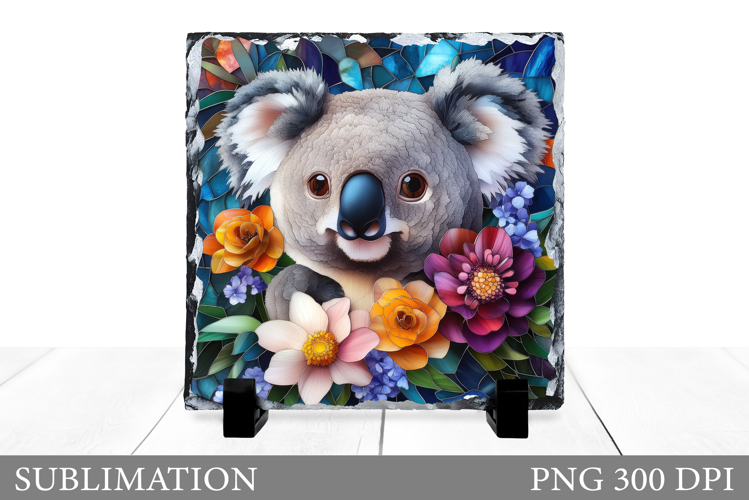 Cute Koala Pictures Image 2