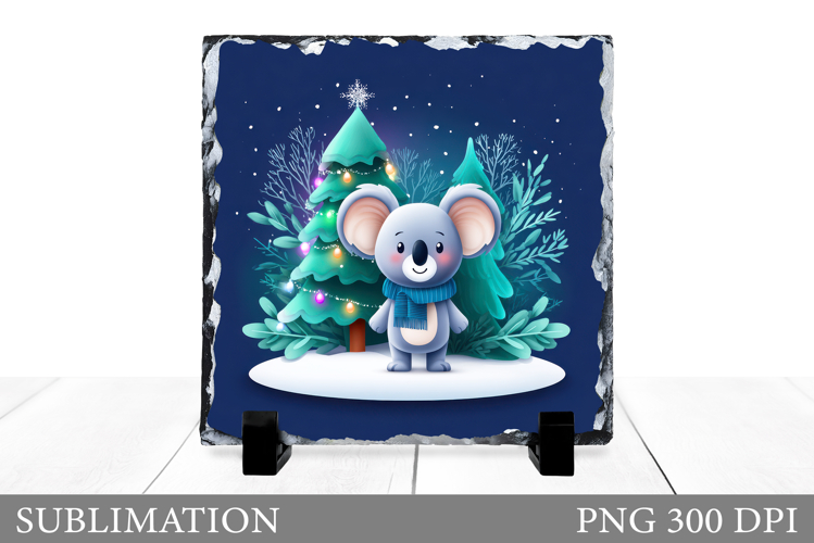 Cute Koala Pictures Image 19