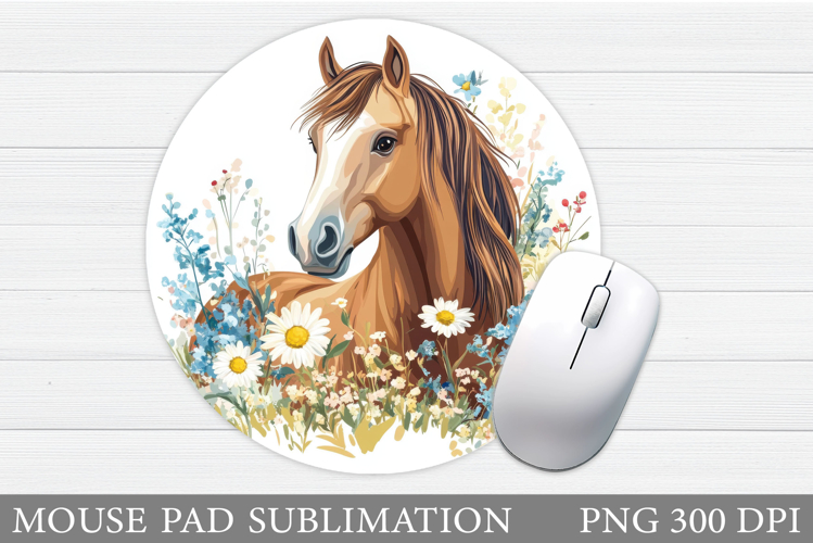 Cute Horse Pictures Image 6
