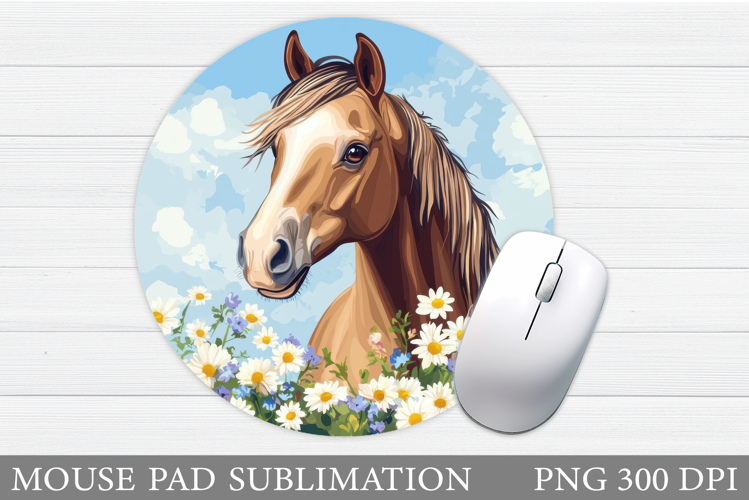Cute Horse Pictures Image 16