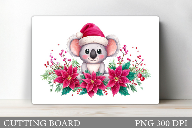 Cute Koala Pictures Image 7