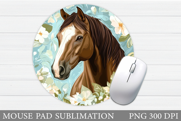Cute Horse Pictures Image 11