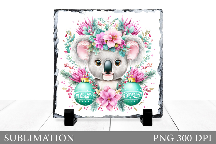 Cute Koala Pictures Image 24