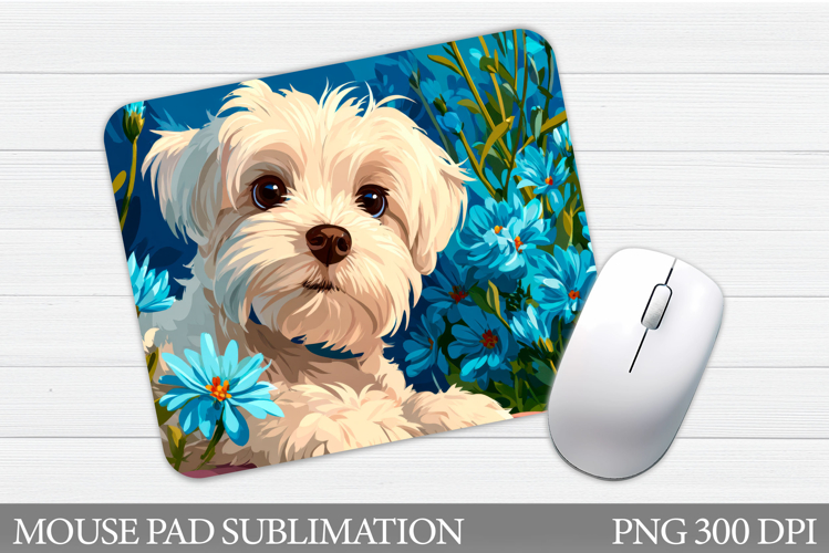 Mouse Png Image 12
