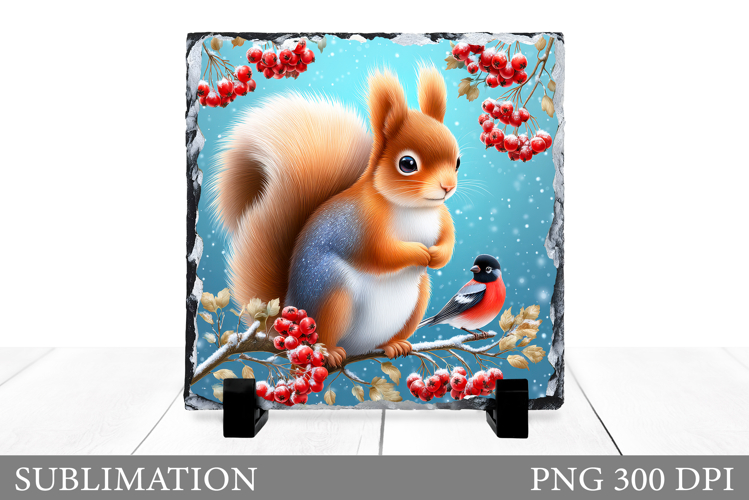 Christmas Squirrel Sublimation. Christmas Squirrel Slate