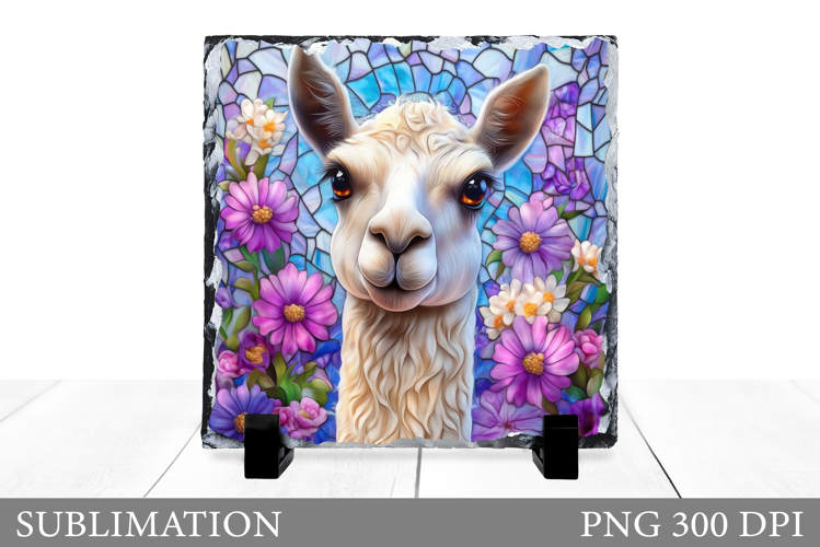 Cute Lama Sublimation. Lama Slate Sublimation