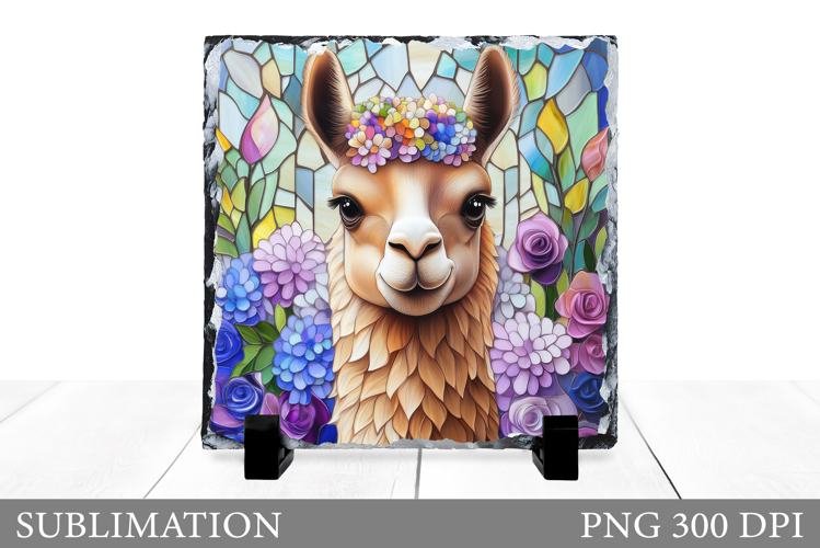 Cute Lama Sublimation. Lama Slate Sublimation