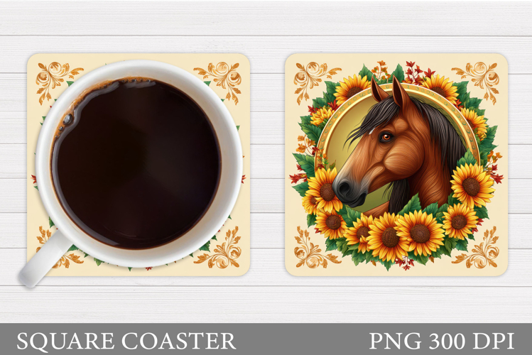 Cute Horse Pictures Image 15