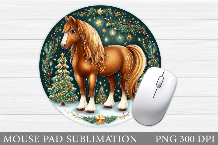 Cute Horse Pictures Image 12