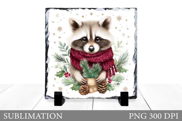 Christmas Raccoon Slate. Christmas Raccoon Sublimation