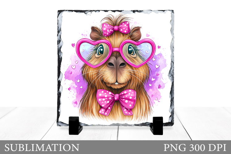 Capybara Sublimation. Capybara Slate Design
