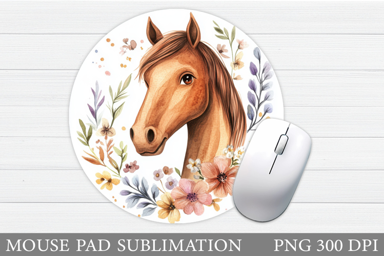 Cute Horse Pictures Image 18