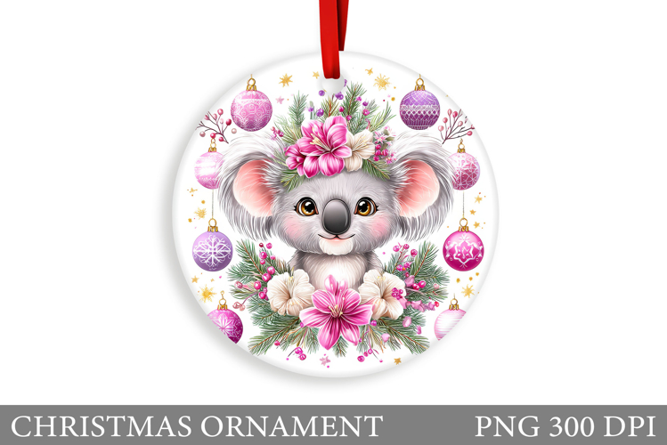 Cute Koala Pictures Image 20