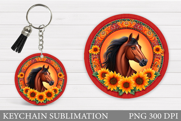 Cute Horse Pictures Image 12