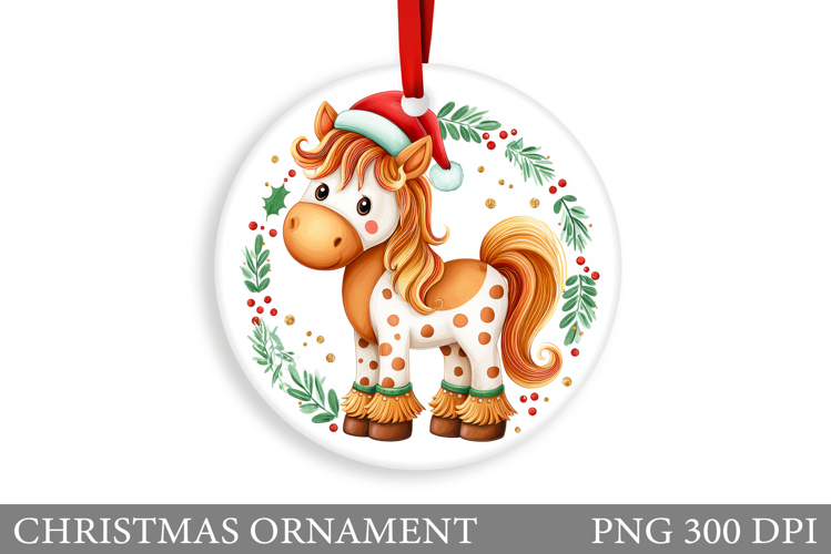 Cute Horse Pictures Image 23