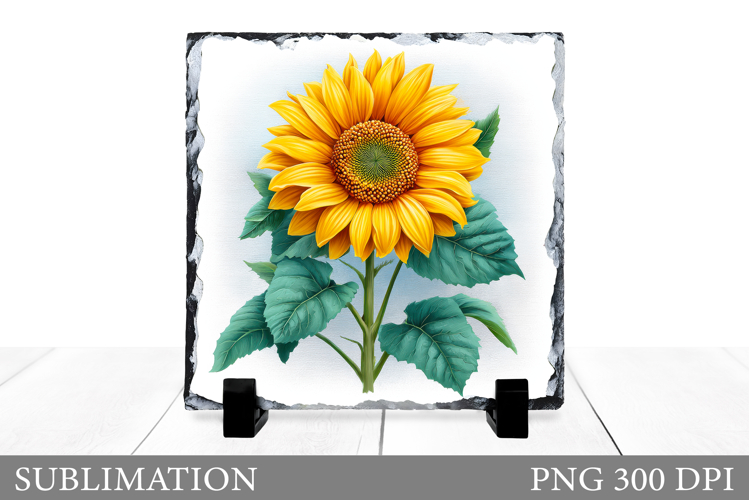 Sunflower Sublimation. Sunflowers Slate Sublimation