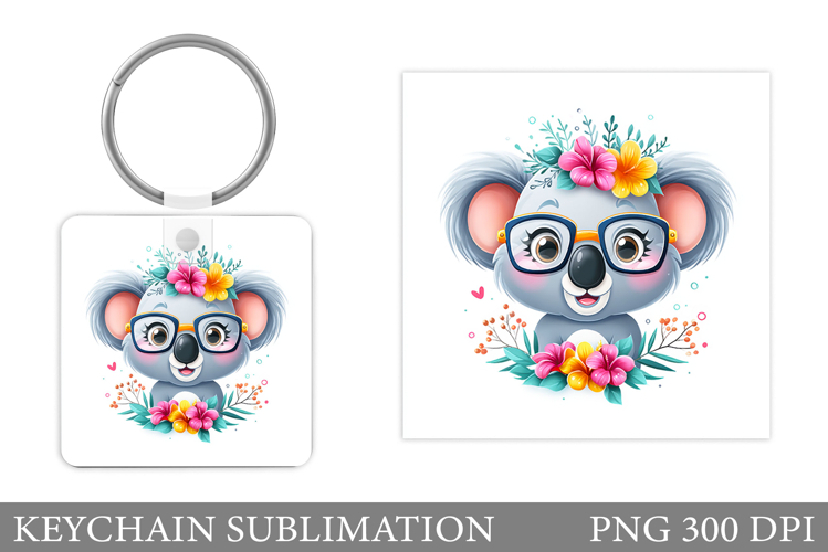 Cute Koala Pictures Image 15