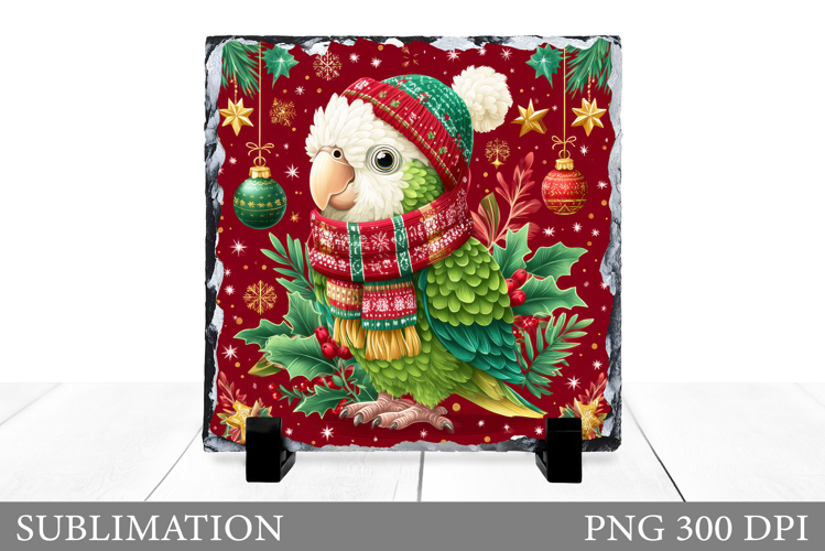Christmas Parrot Sublimation. Christmas Parrot Slate Design