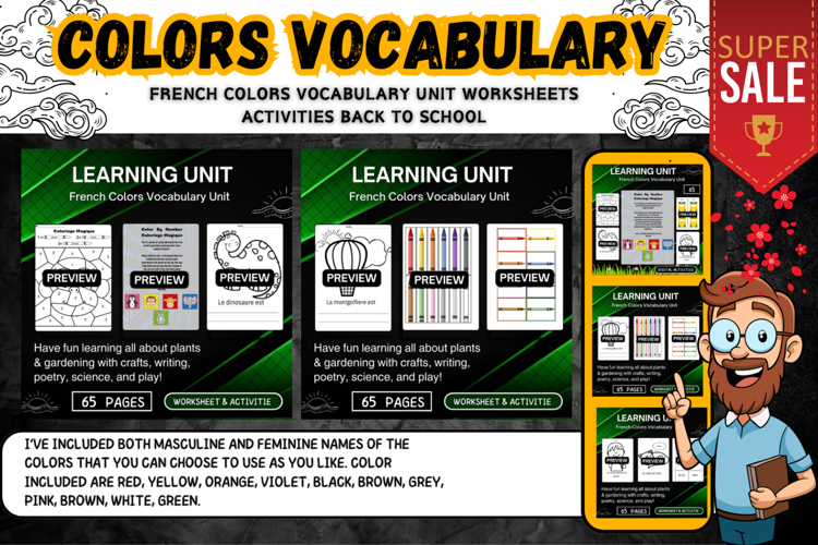 French Colors Vocabulary Unit Worksheets activities