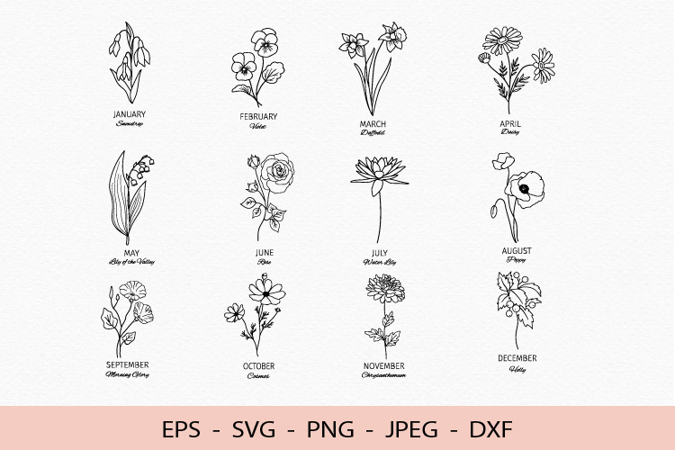 Birth flowers SVG bundle, 12 line art botanical Cricut file
