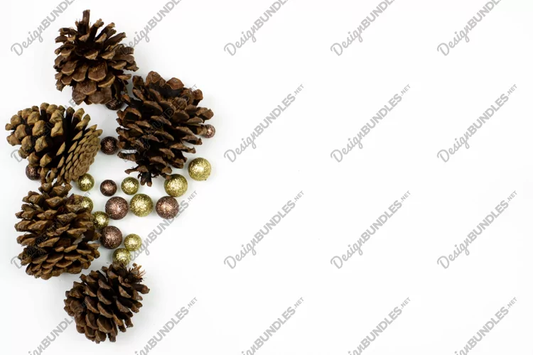 Fall Pine Cones Flat Lay