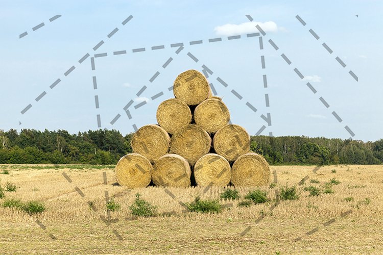 Wheat Clipart Image 4