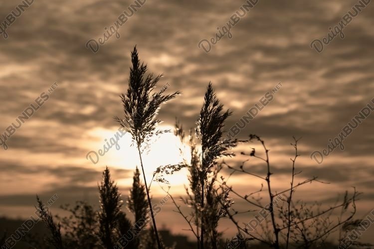 Banner Clipart Image 14