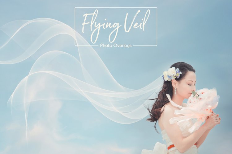 Flying Veil Overlays example image 1