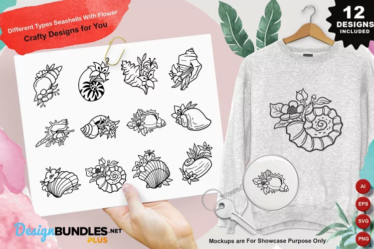 Different Sea Shell In Various Types Clipart Set