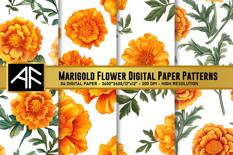 Marigold Clipart Image 6