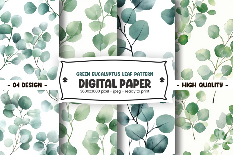 Eucalyptus Clipart Image 12