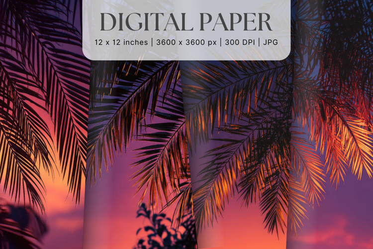 Palm Tree Background Sunset Sea Beach Landscape Coconut Tree