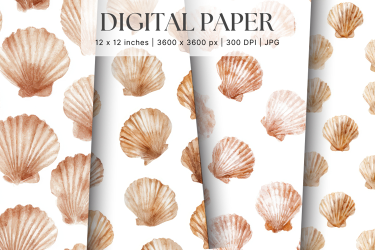 Seashells Clipart Image 5