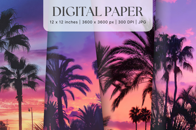 Palm Tree Background Sunset Sea Beach Landscape Coconut Tree