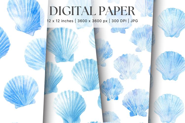 Seashells Clipart Image 8