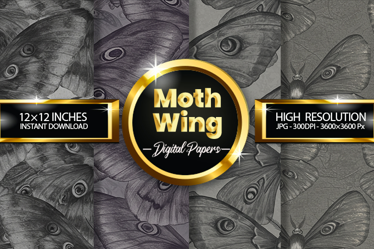 Moth Clipart Image 7
