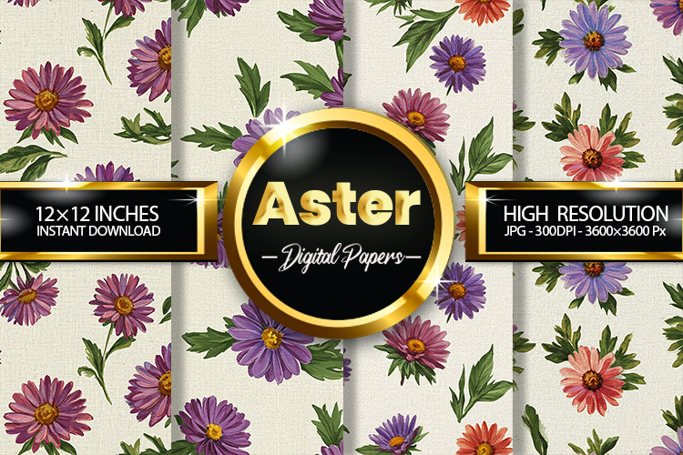Aster Digital Papers - 04 Variations