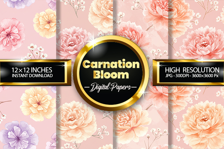 Carnation Illustration Image 18