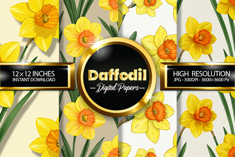 Daffodil Clipart Image 21
