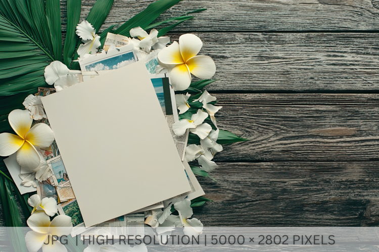 Tropical Moodboard with Plumeria Flowers