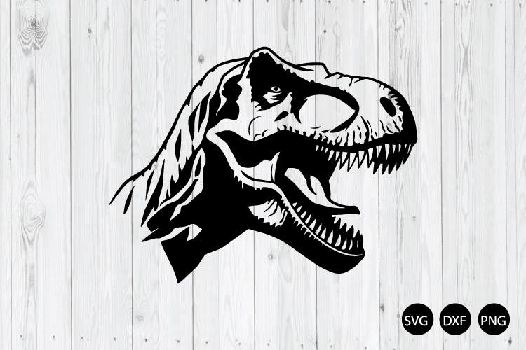 Dinosaur Png