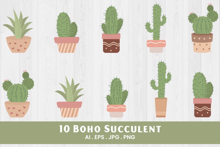 Boho Succulent Clipart | 10 Variations example image 1