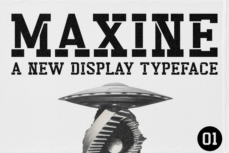 Maxine example image 1