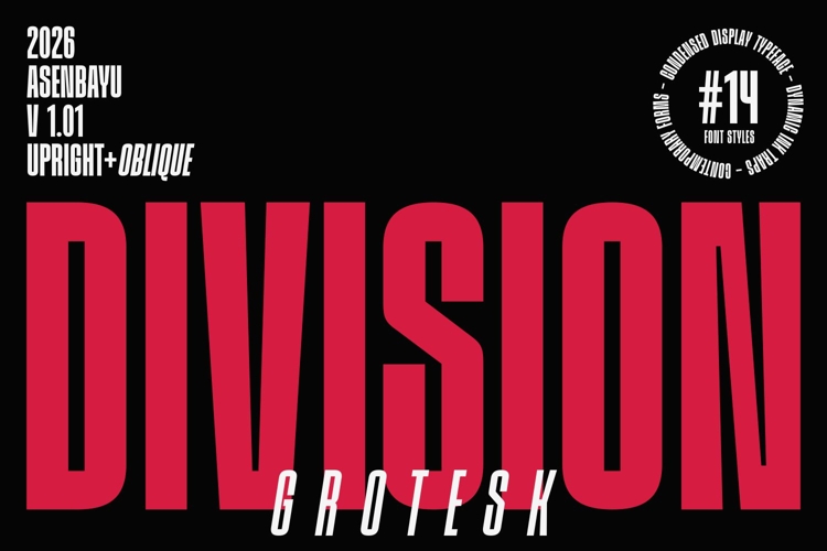 Division Grotesk Font Family