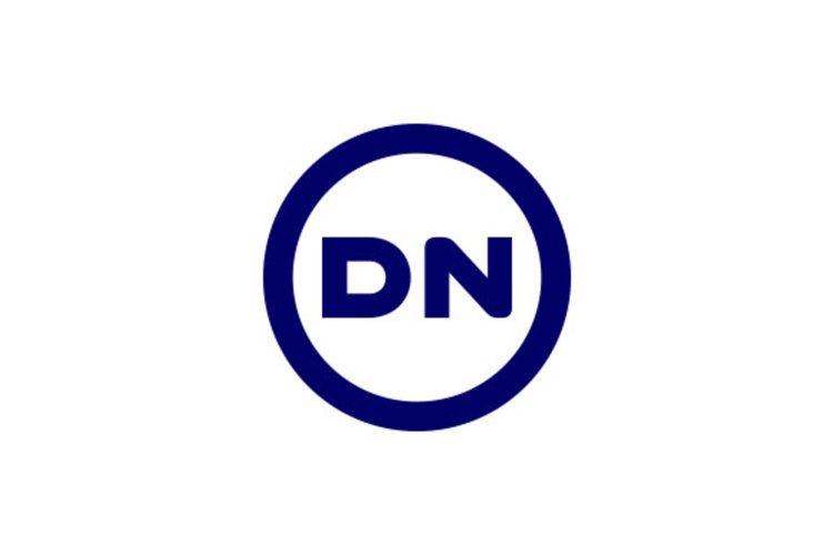 DN Logo design example image 1