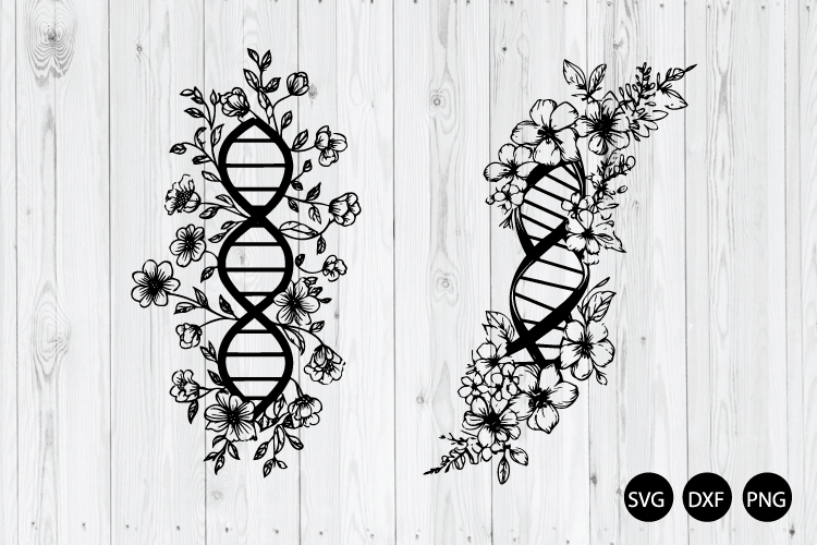 DNA molecule SVG, Flower DNA SVG, Double Helix SVG